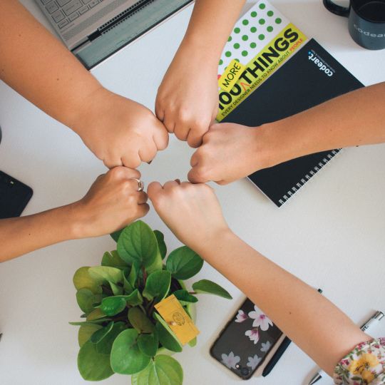 Program Mentoringowy FMMiK PTKS